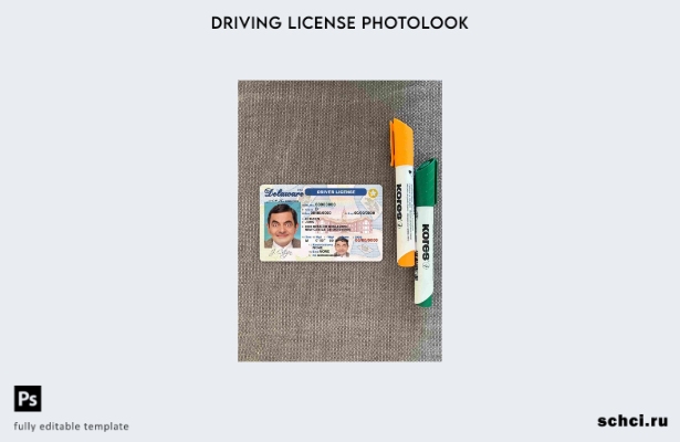цифровая загрузка США Делавэр DL шаблон Photolook FRONT